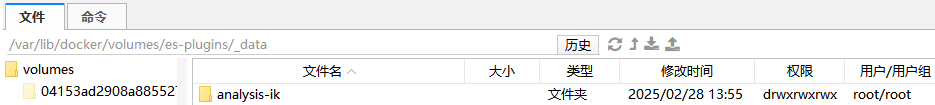 image-20250228135931243